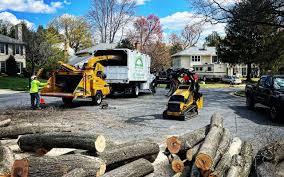 Seasonal Cleanup (Spring/Fall) in White Sands, NM